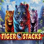 Tiger Stacks